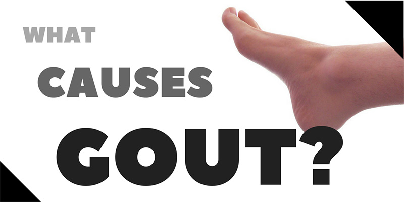 what causes gout?