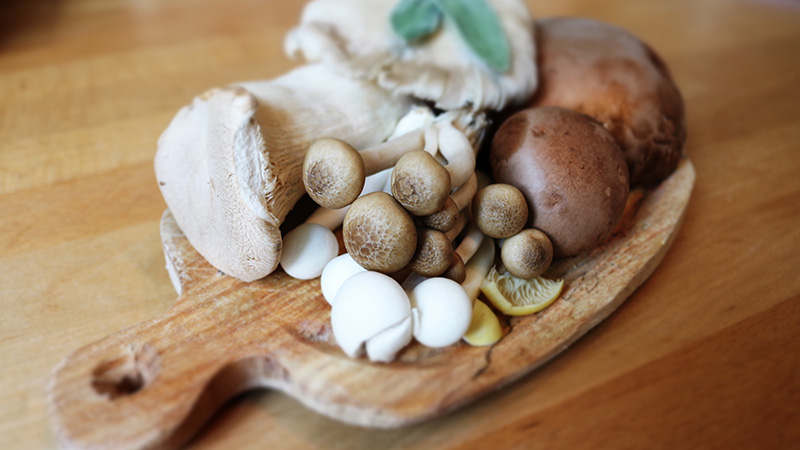 mushrooms and gout