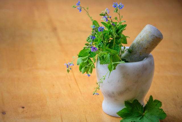 6 Best Herbs For Gout – What Herbs Are Good For Gout?