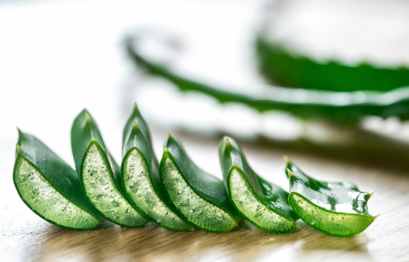 Gout and Aloe Vera – Is Aloe Vera Good for Gout?