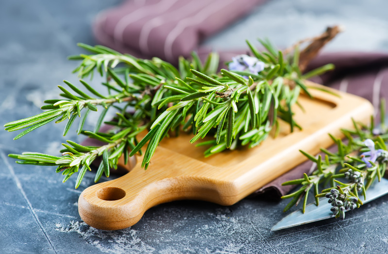 rosemary and gout