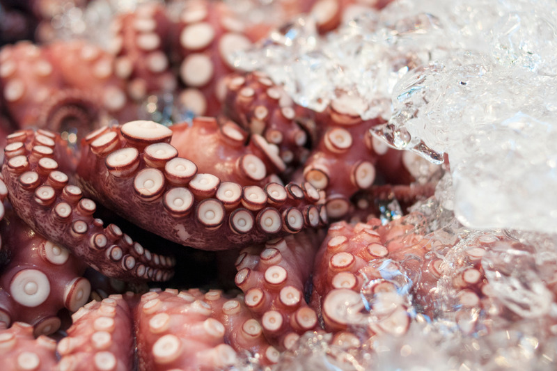 Octopus and Gout – Is Octopus Bad for Gout?