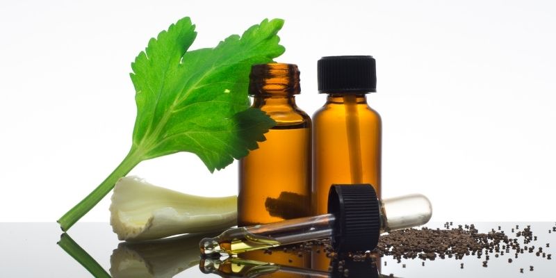 Celery seed essential oil