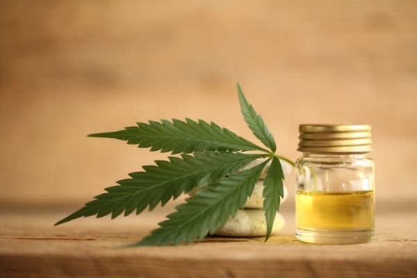 CBD Oil for Gout – Does CBD Help with Gout?