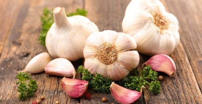 garlic and gout