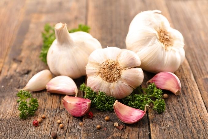 garlic and gout